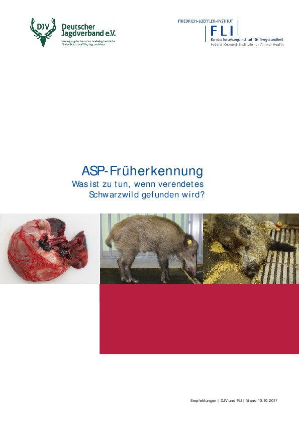 Afrikanische Schweinepest | Deutscher Jagdverband